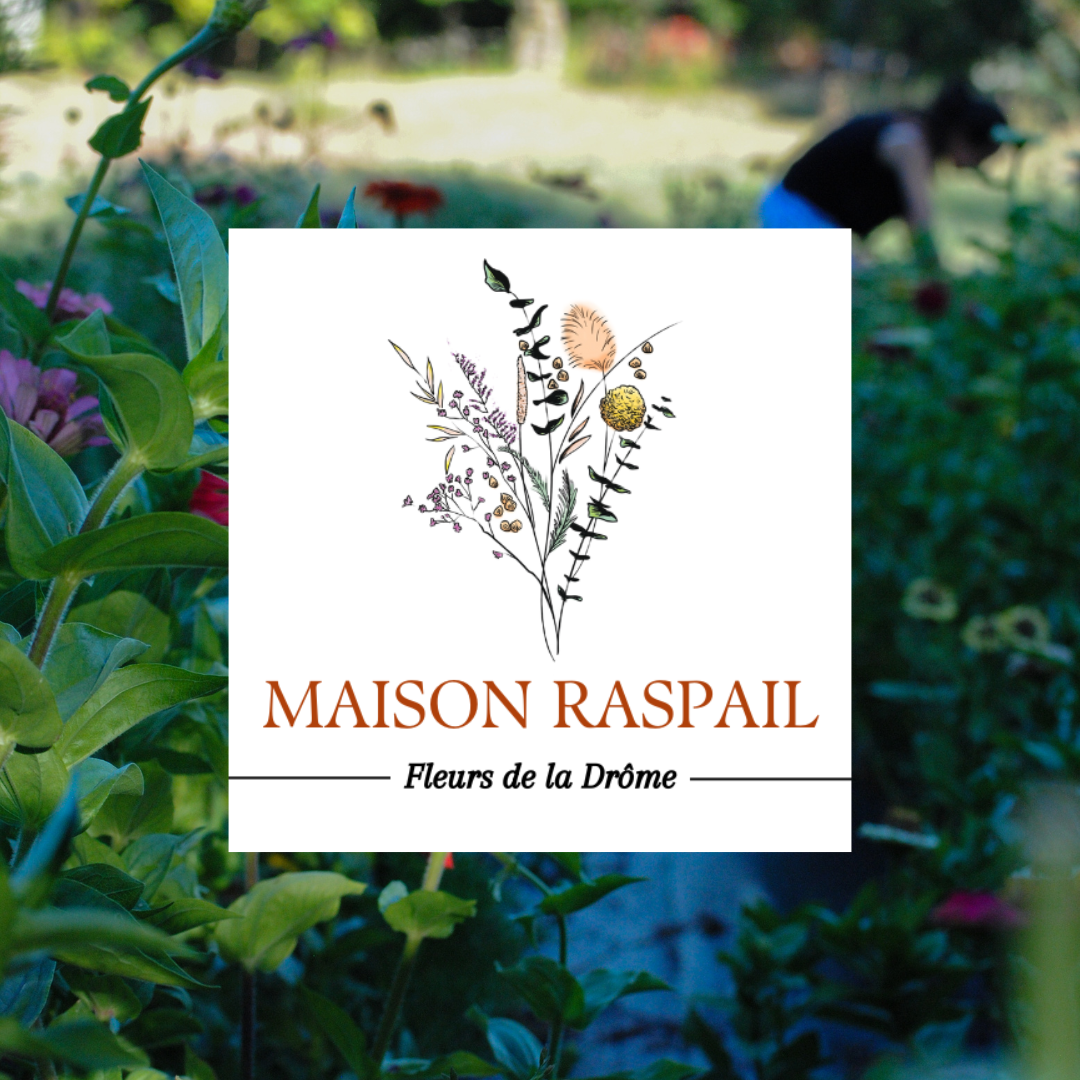 Maison Raspail